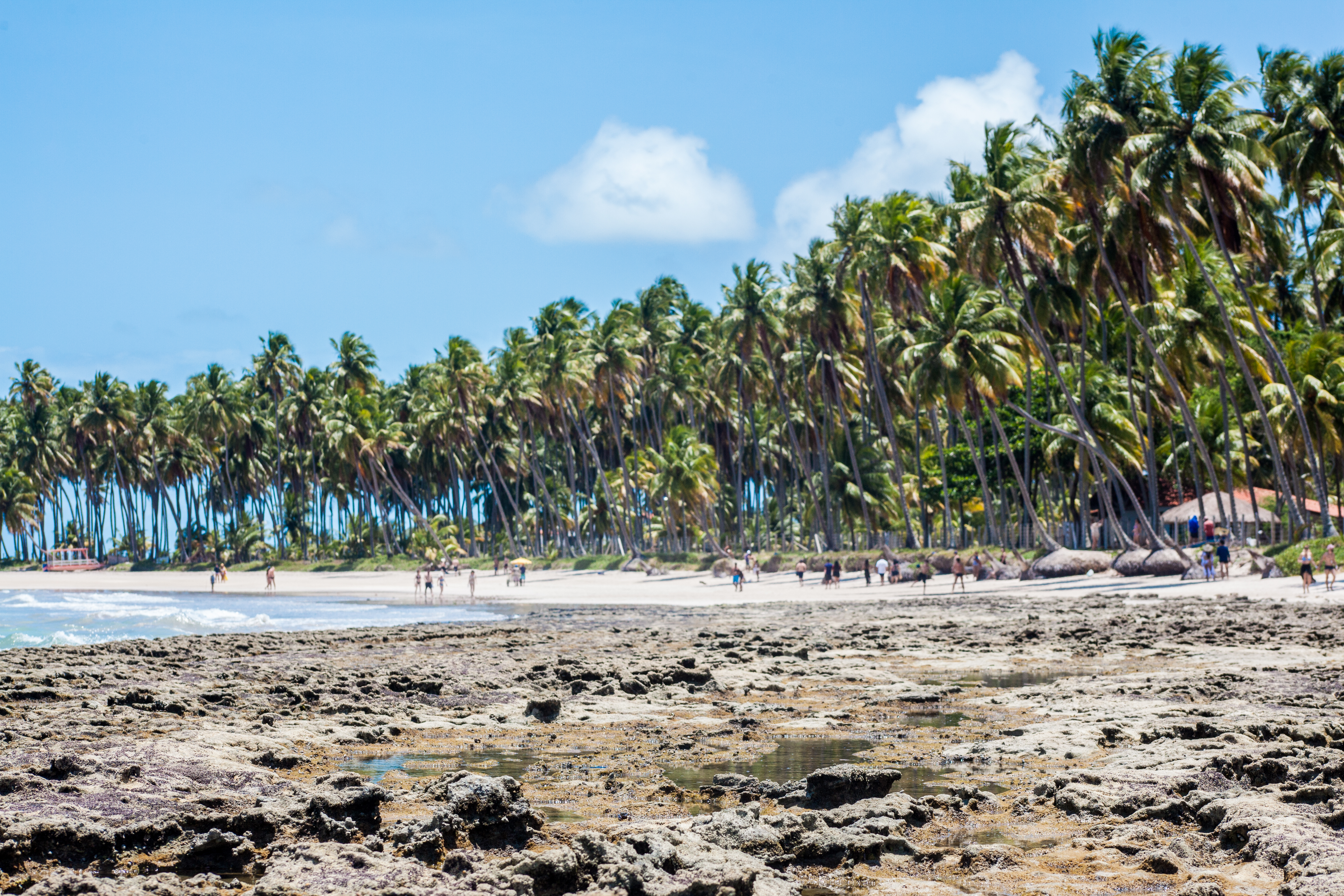 Praia dos Carneiros